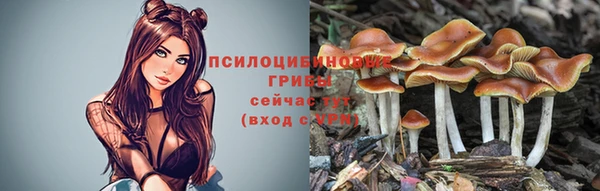 ешки Верхний Тагил