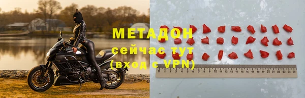 шишки Верея