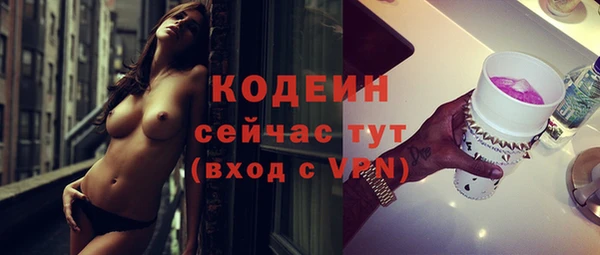 шишки Верея
