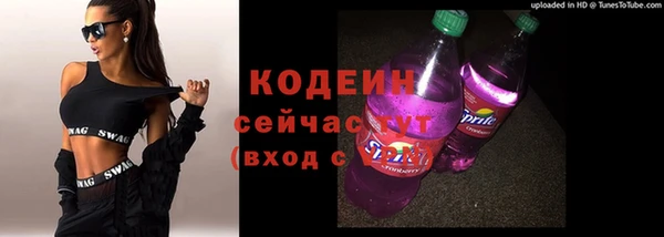 соль ск Бородино