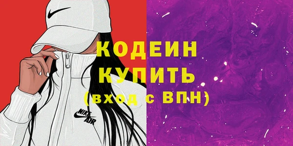 шишки Верея