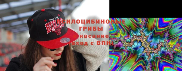соль ск Бородино