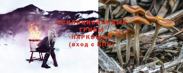соль ск Бородино