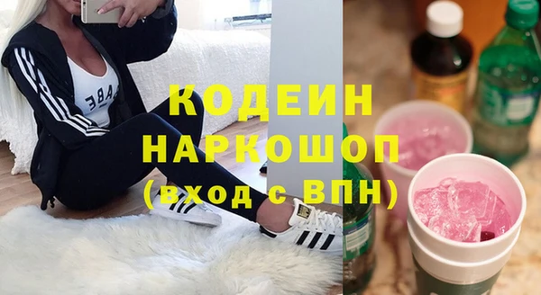 соль ск Бородино