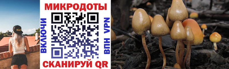 Псилоцибиновые грибы ЛСД  Купить где  Пустошка 
