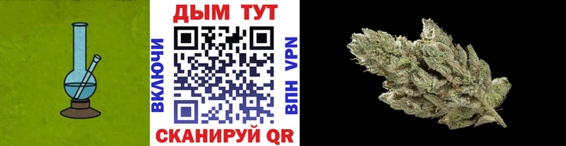 Купить где  Пустошка  Шишки марихуана ГИДРОПОН 